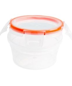 Snapware Total Solution 1.21-cup Plastic Food Storage Container